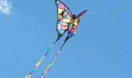 娱乐吃瓜酱风筝,揭秘娱乐圈背后的那些事儿